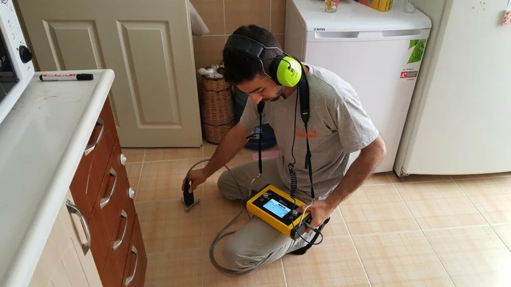 Leak Detection and Repair