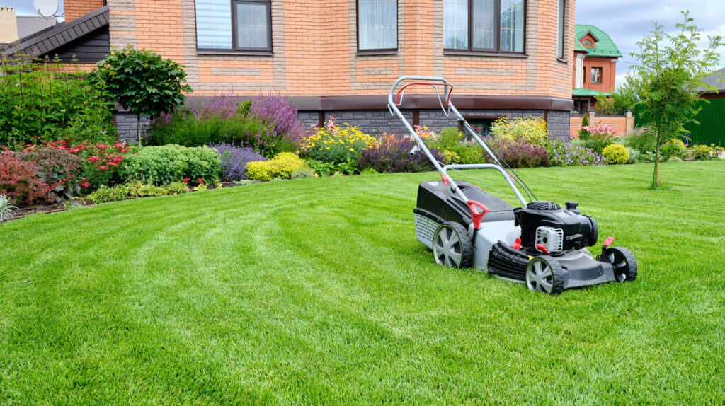 Mow Lawn